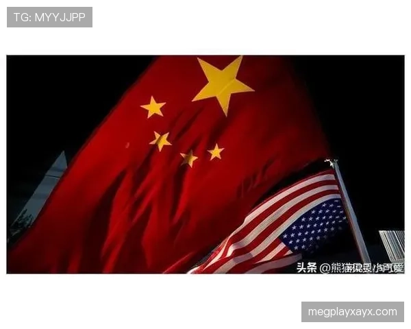 布鲁日防线稳固，专家研判未来局势走向引关注